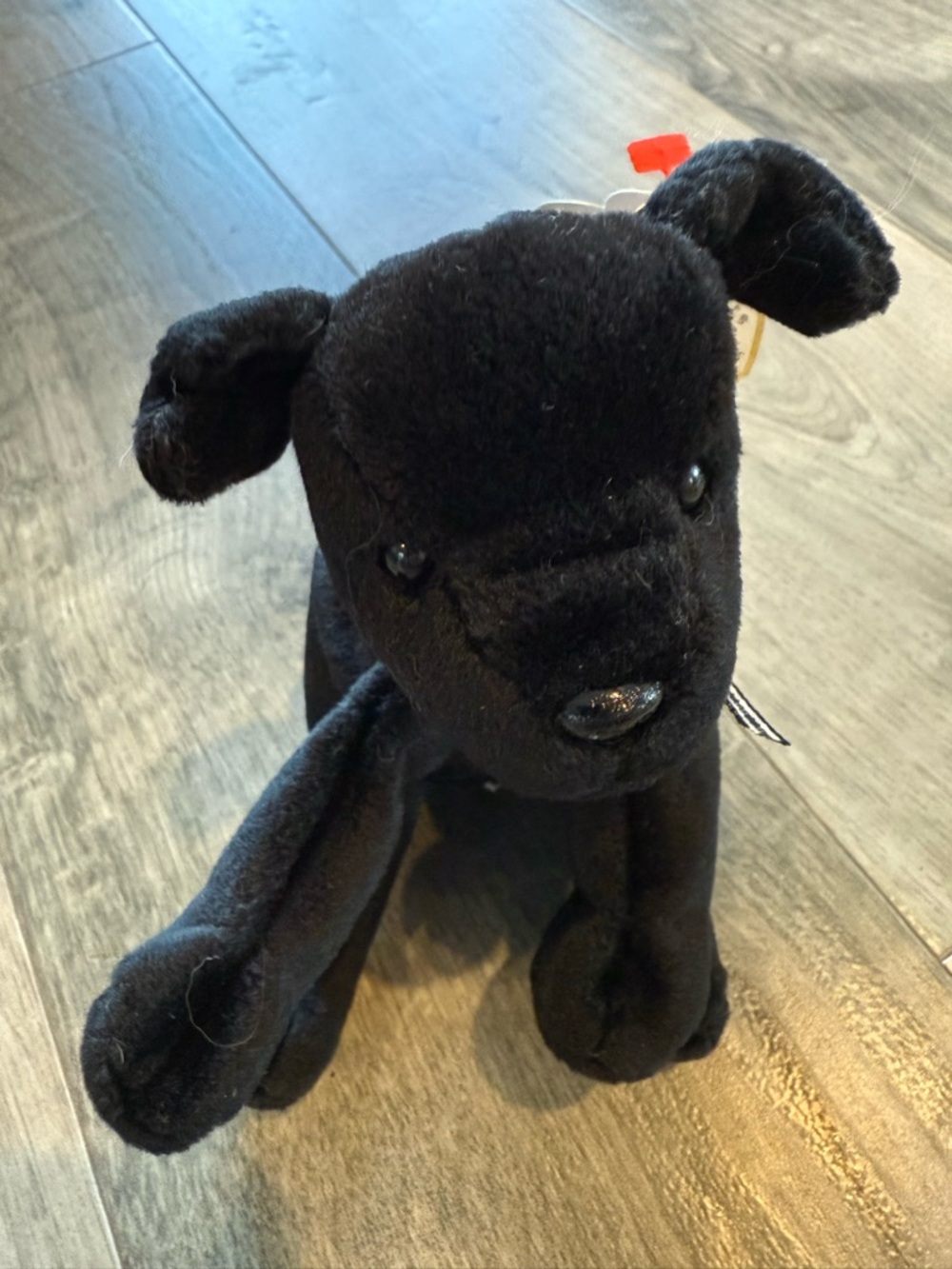 Luke- Ty Soft Plush Black Toy Dog (with heart shaped ID tag attached)